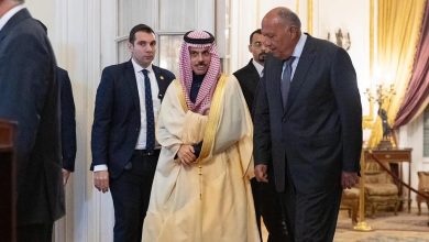 وزير الخارجية يلتقي نظيره المصري