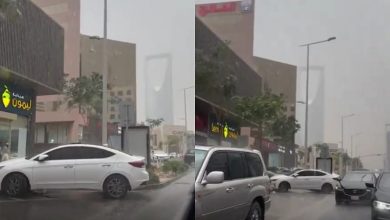 أمطار غزيرة على العاصمة الرياض .. فيديو